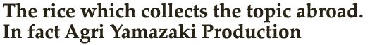 Introducing Rice Grown on Agri Yamazaki’s Farm With Great Pride We Present… Masakado Hidari Mai and Mihogo no Kome