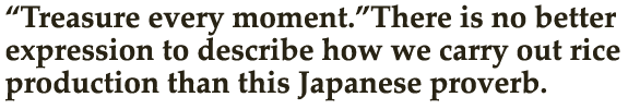 “Treasure every moment.” There is no better expression to describe how we carry out rice production than this Japanese proverb.