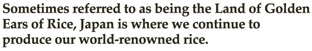 Sometimes referred to as being the Land of Golden Ears of Rice, Japan is where we continue to produce our world-renowned rice.