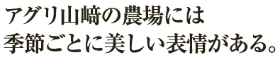 アグリ山﨑の農場には季節ごとに美しい表情がある。