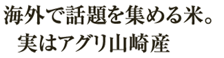 アグリ山﨑の農場で栽培する米のご紹介。「将門ひかり舞」「美穂郷の米」…自信をもってお届けします。