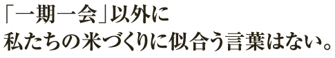 「一期一会」以外に私たちの米づくりに似合う言葉はない。