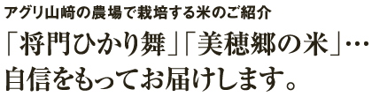 アグリ山﨑の農場で栽培する米のご紹介。「将門ひかり舞」「美穂郷の米」…自信をもってお届けします。